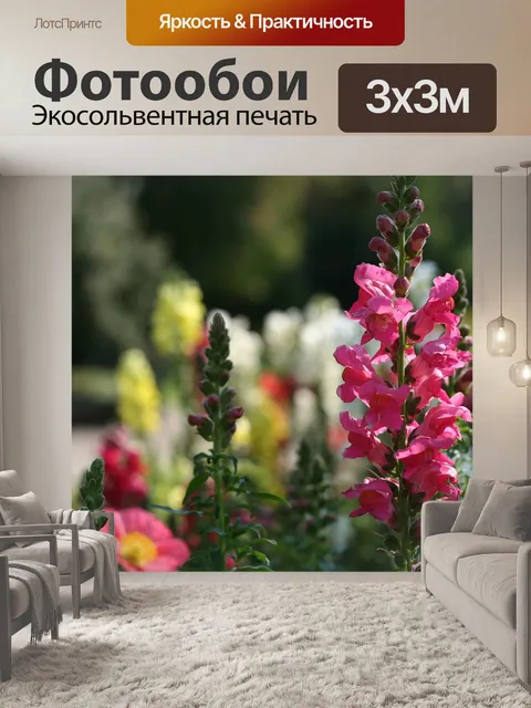 Фотообои Львиный зев розовый желтый белый