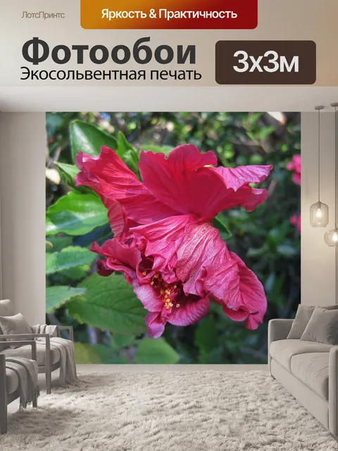 Фотообои ярко-розовый гибискус
