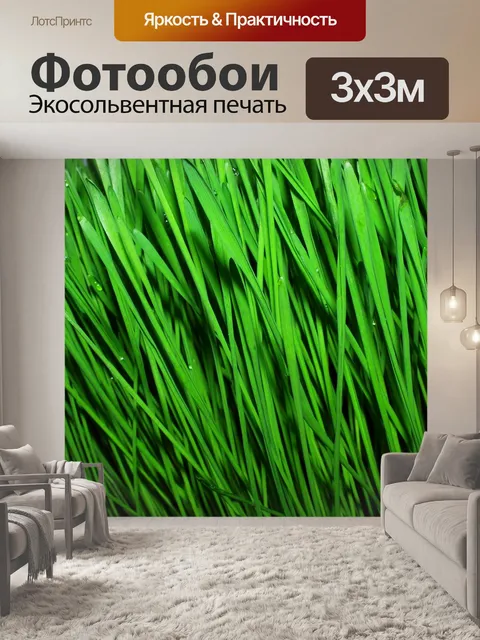 Фотообои Wheat