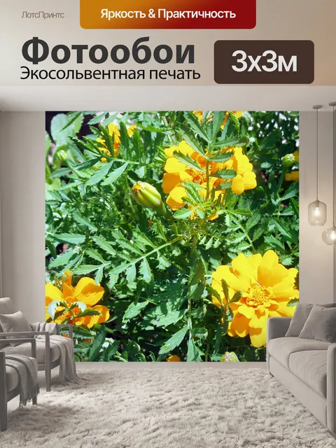 Фотообои Сад Бархатцы