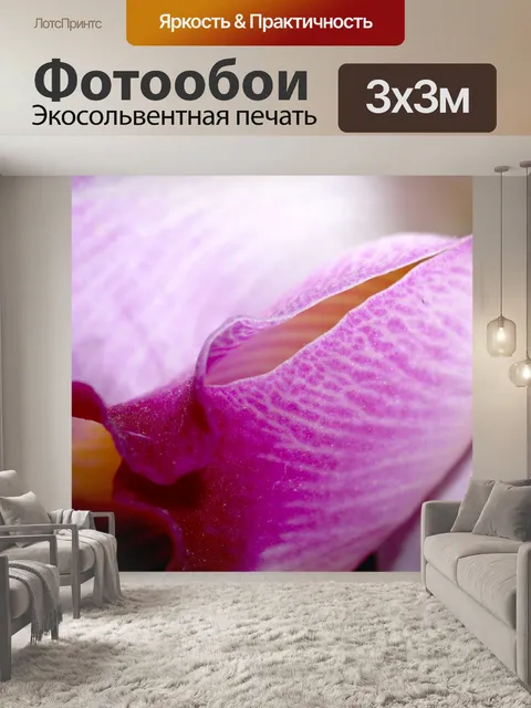 Фотообои Фото цветка орхидеи