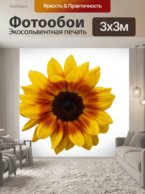 Фотообои Подсолнечник желтый цветок