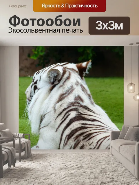 Фотообои Белый бенгальский тигр