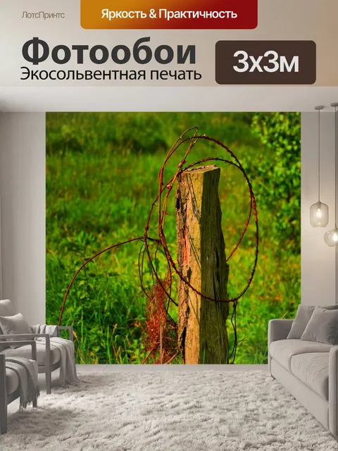 Фотообои Фон