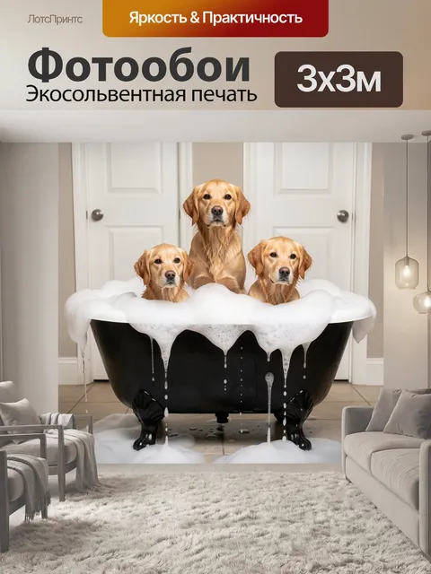 300 × 300 см · Экосольвентная печать