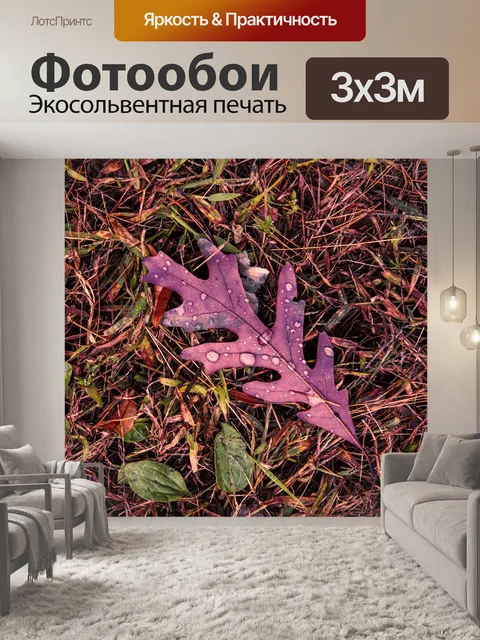 Фотообои Осенний дубовый лист