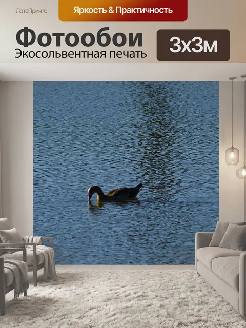Фотообои Желтая утка