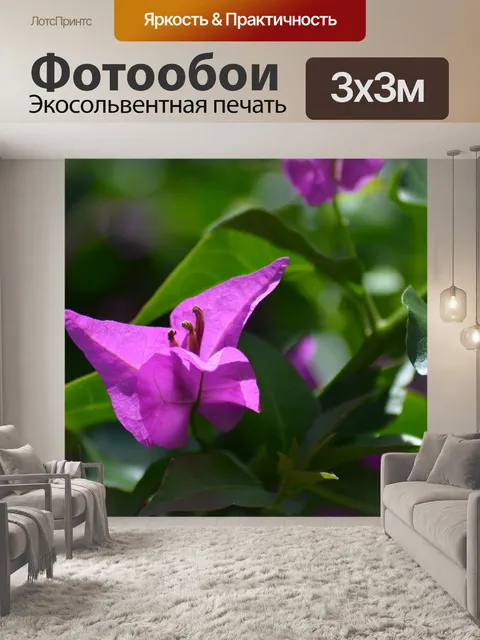 Фотообои Цветы