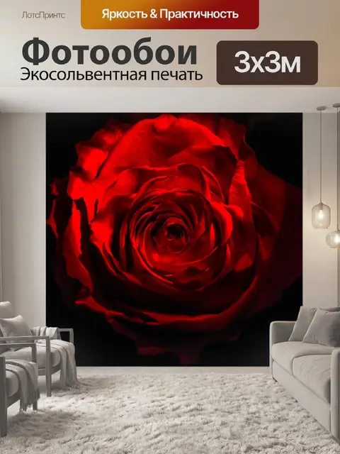 Фотообои Роза