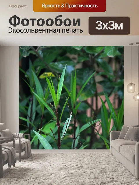 Фотообои длинные тонкие зеленые листья в саду