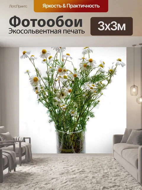 Фотообои Ромашка