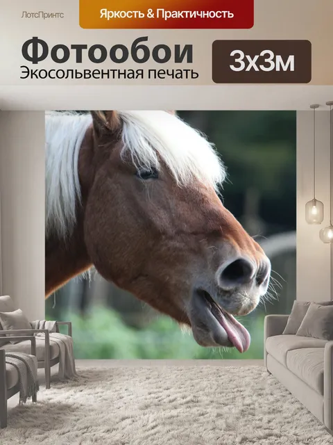 Фотообои Лошадь ми
