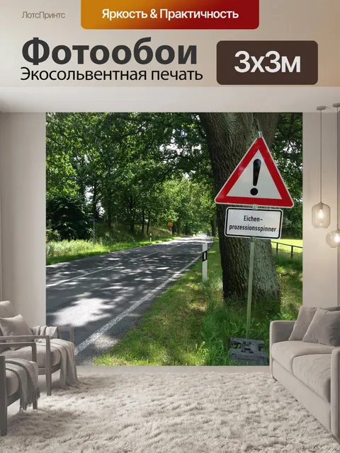 Фотообои Дубовая моль