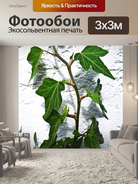 Фотообои Сад