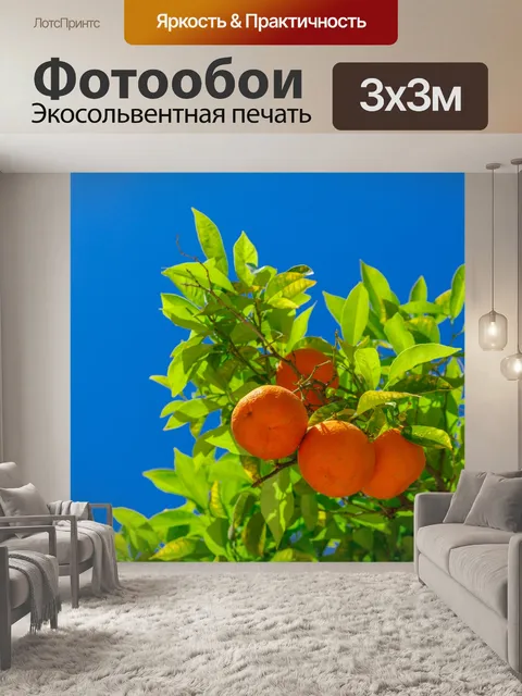 Фотообои Выращивание апельсинов