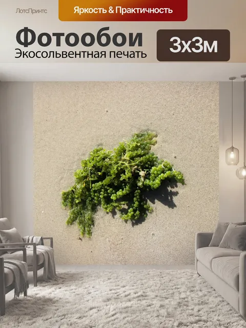 Фотообои Морские водоросли