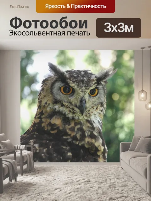 Фотообои Совы