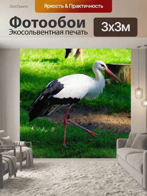 Фотообои Птица