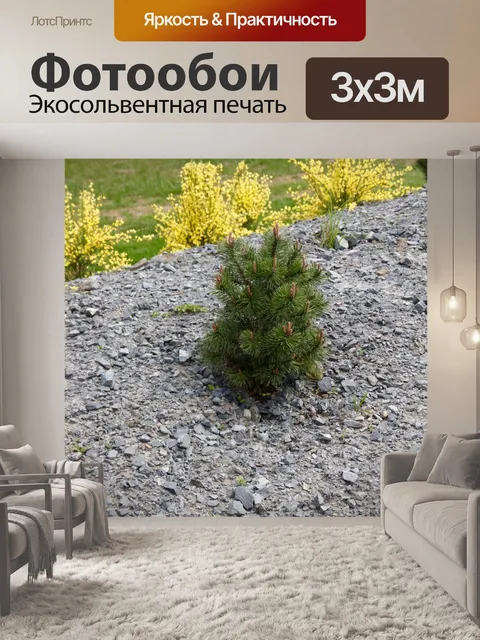 Фотообои Японский сад