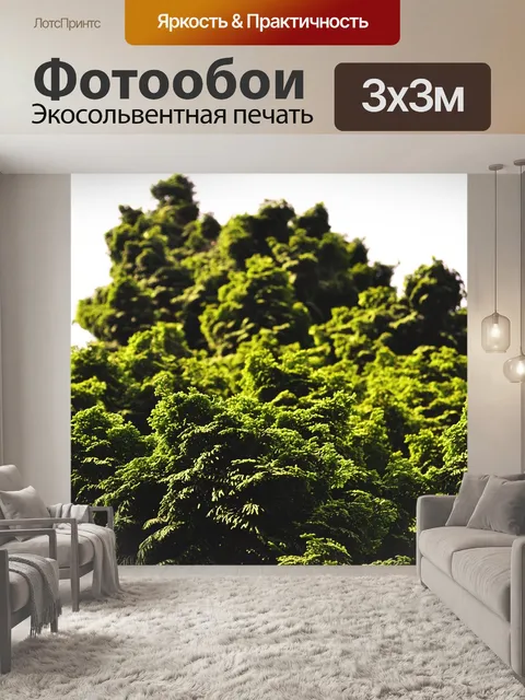 Фотообои Дерево