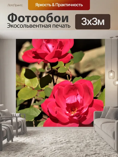 Фотообои Две красные розы на розовом кусте