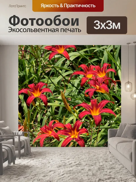 Фотообои Красные лилии дня в саду