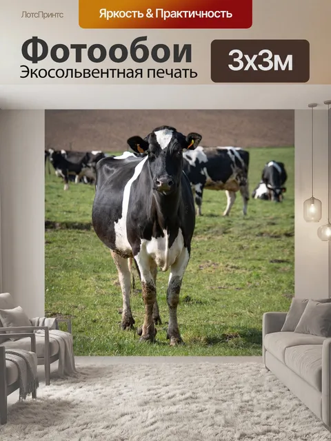 Фотообои Коровы, сельскохозяйственные животные
