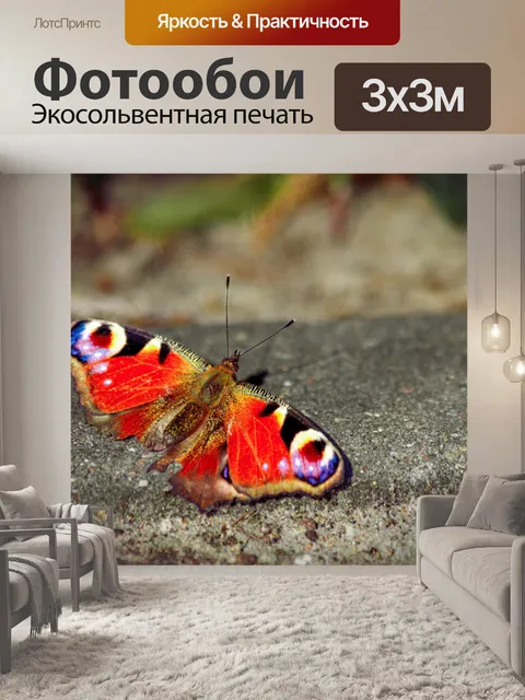 Фотообои Садовая бабочка
