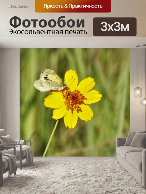 Фотообои Изысканная Сера Бабочка на Космосе