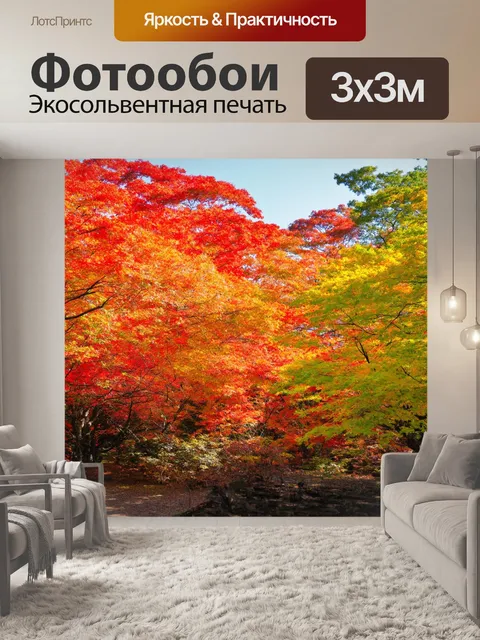 Фотообои япония, показывающие удивительный вид на осенний лес, где деревья окрашены в яркие оттенки красного…