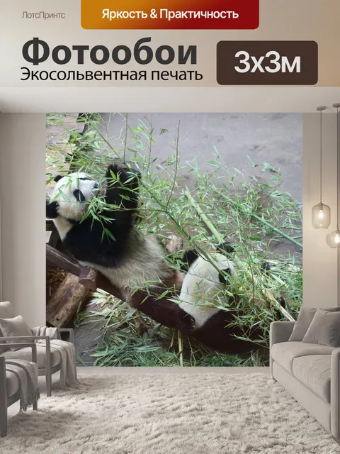 Фотообои Панда
