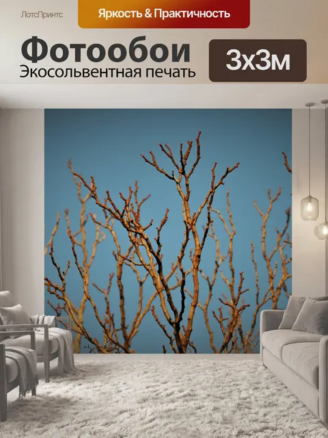 Фотообои филиалы в золотой солнечный свет