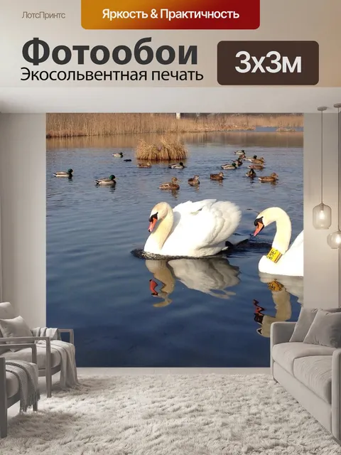 Фотообои Лебеди