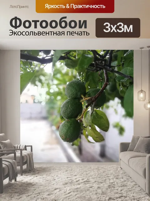 Фотообои Тропический