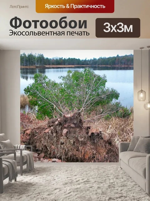 Фотообои упавшее дерево
