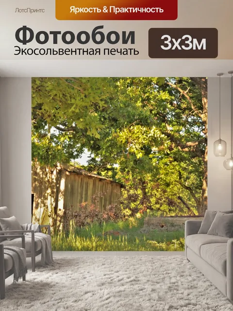 Фотообои Заброшенный сарай и погреб