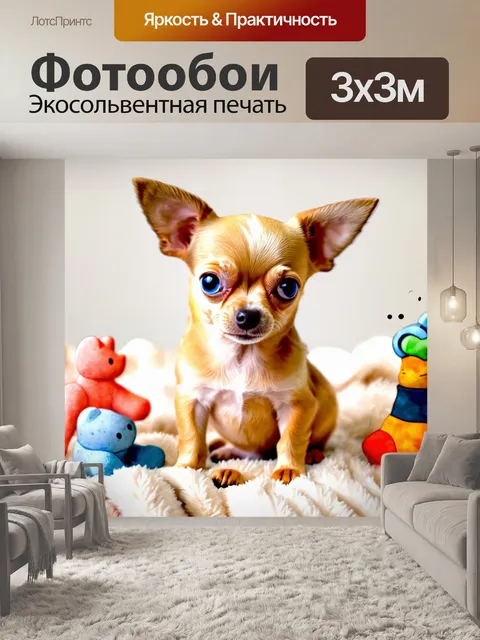 Фотообои картинка маленькой собаки породы чихуахуа
