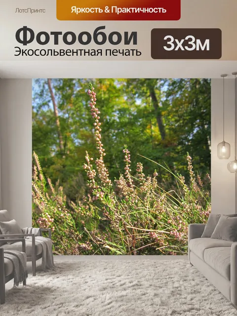 Фотообои Calluna vulgaris