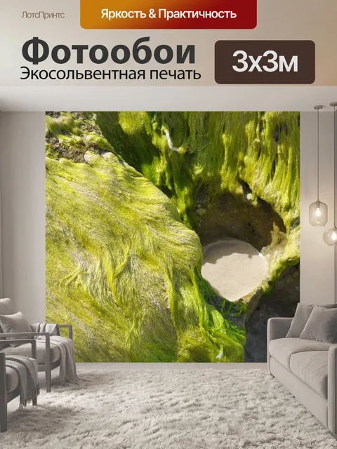 Фотообои Морские водоросли