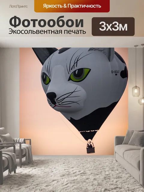 Фотообои Воздушный шар
