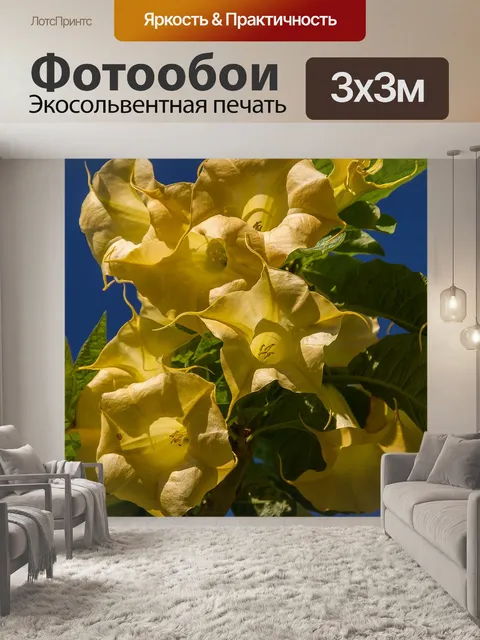 Фотообои Цветы