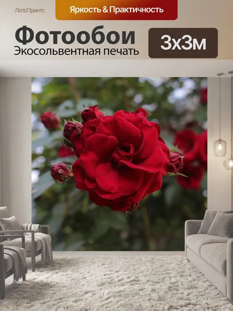 Фотообои Роза