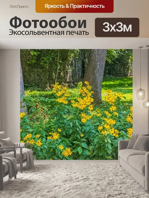 Фотообои Черноглазые сьюзанс