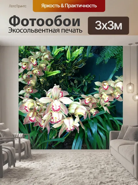 Фотообои Розовые лилии