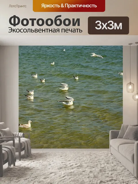 Фотообои Чайки śmieszki