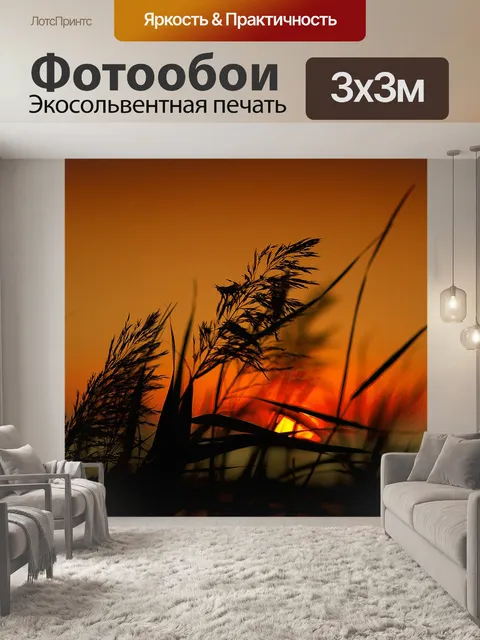 Фотообои Закат