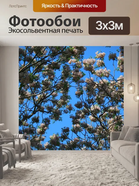 Фотообои Seringa цветы дерева против неба
