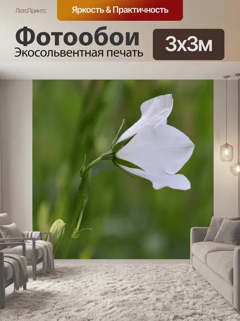 Фотообои Белый цветок