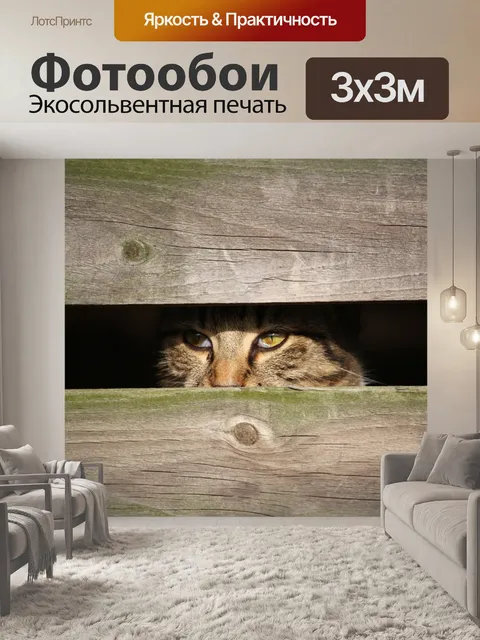 Фотообои Кот