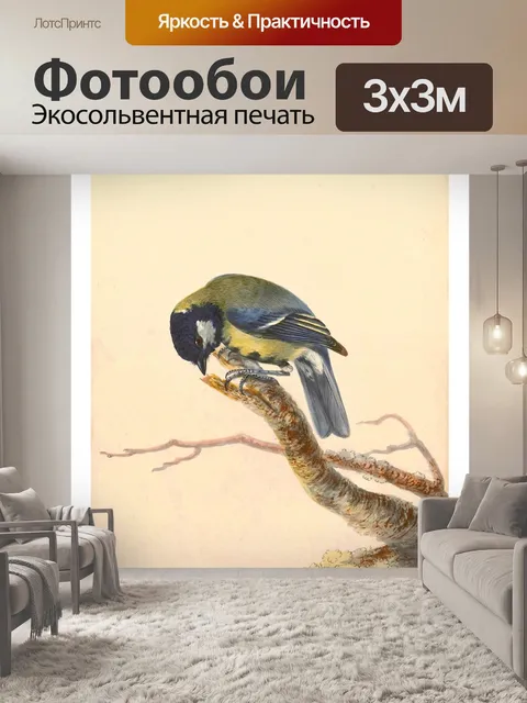 Фотообои Винтажная птица большая синица синица